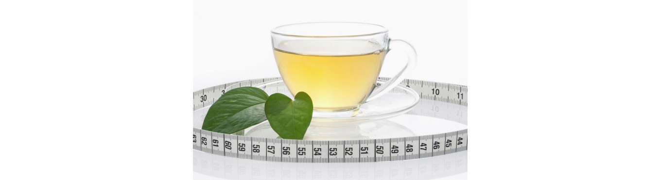 Чай для схуднення: користь та шкода, особливості вживання та протипоказання